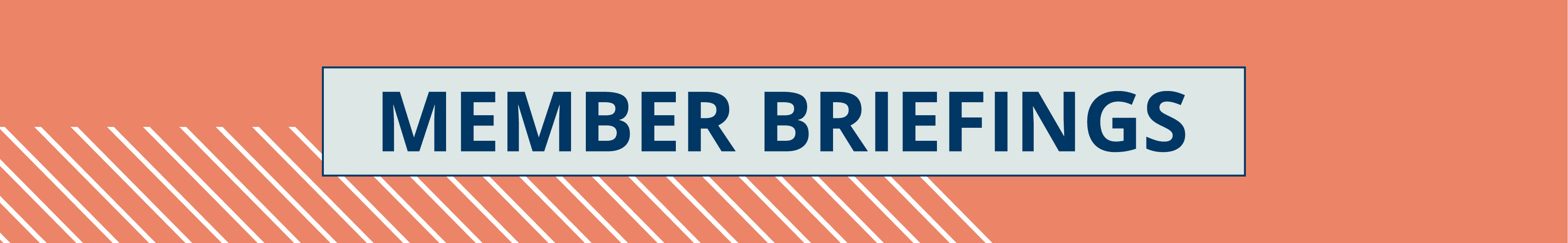 Countering Political Attacks on DEI: Resources for Student Affairs Leaders and Institutions